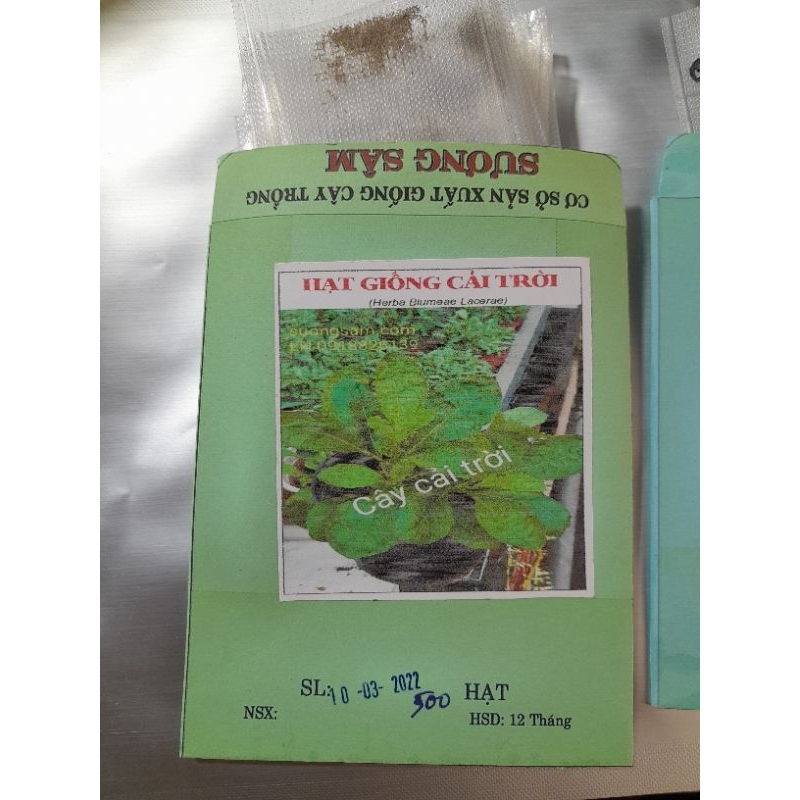 [MUA 2 TẶNG 1] 300 Hạt Giống rau cải trời