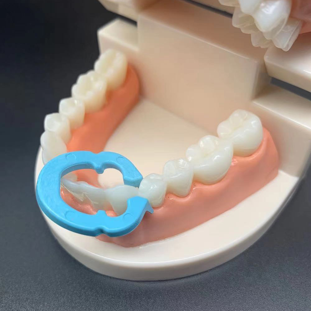 [New arrivals of] 4 round plastic clip and Tooth Cup dedicated for Dental