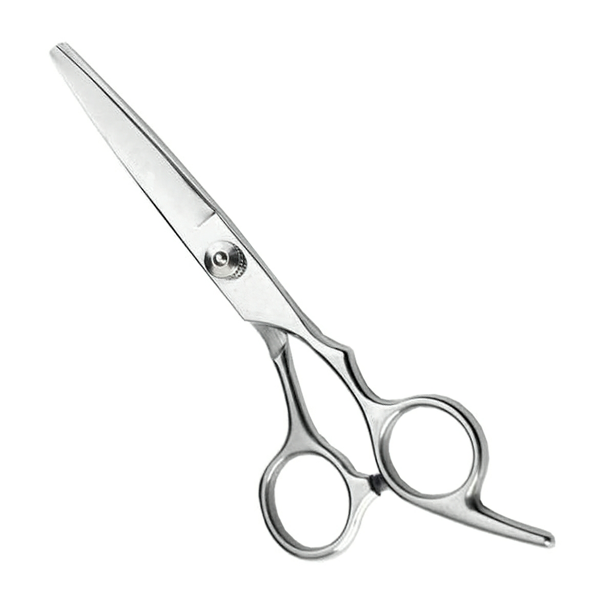 Scissors and a six-inch haircut