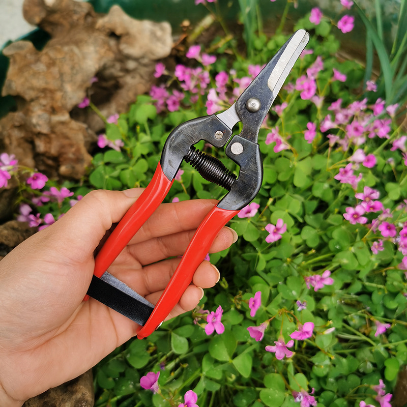 1 Pcs Gardening Sharp Pruning Shears Steel Tree Trimmers Secateurs Hand Pruner with Spring for Grape Flower Tree Branch Cutting