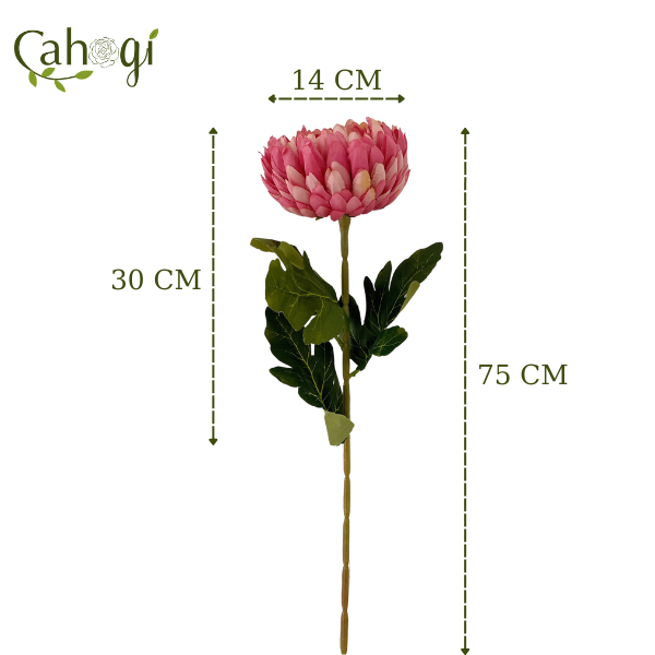 Hoa Giả - Cúc Đại Đóa Bông Lớn 75 Cm