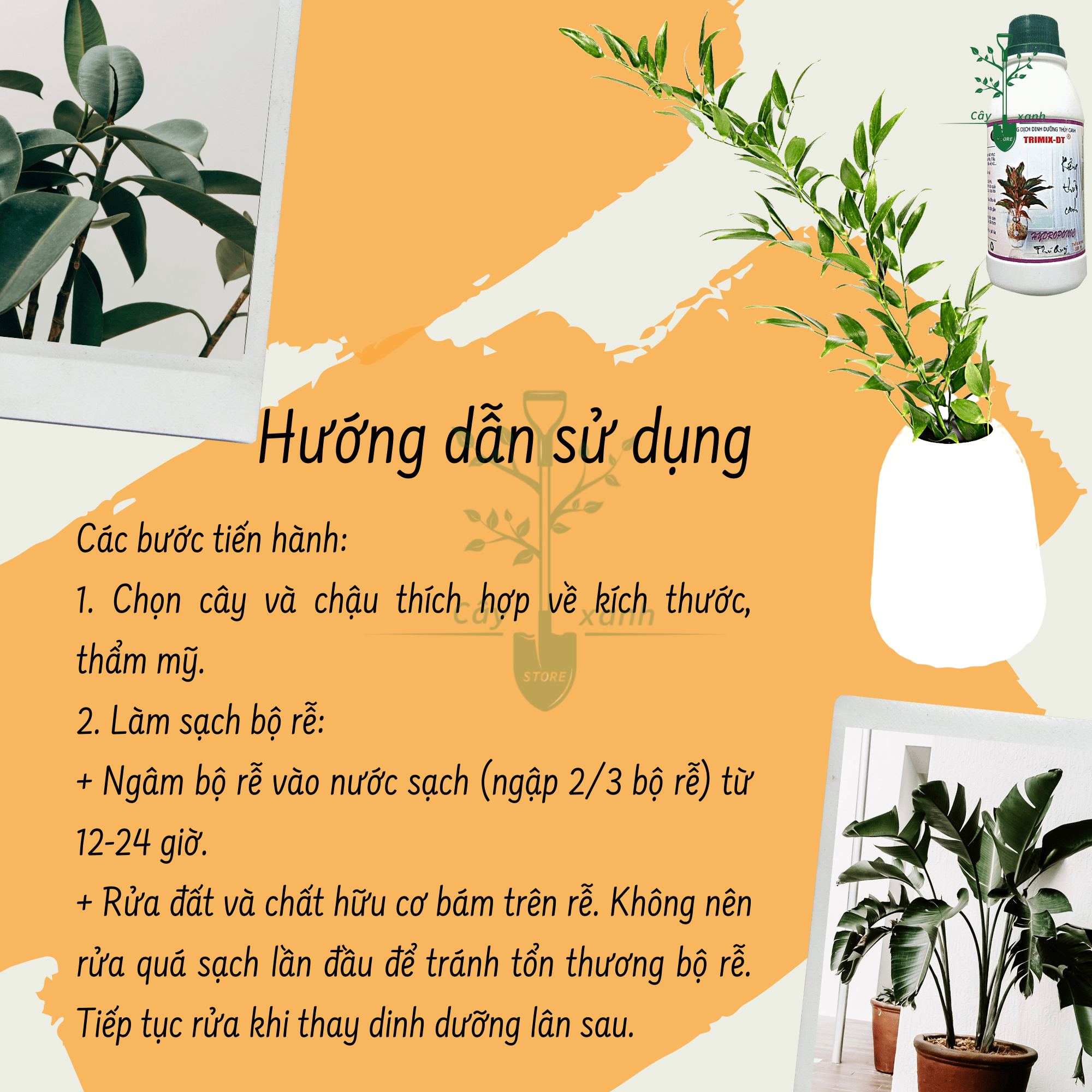 Phân Bón Lá Thủy Canh Kiểng Chai 100ml - Điền Trang
