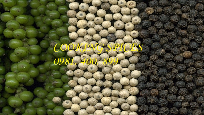Tiêu Đen ( Black Pepper ) cay, thơm