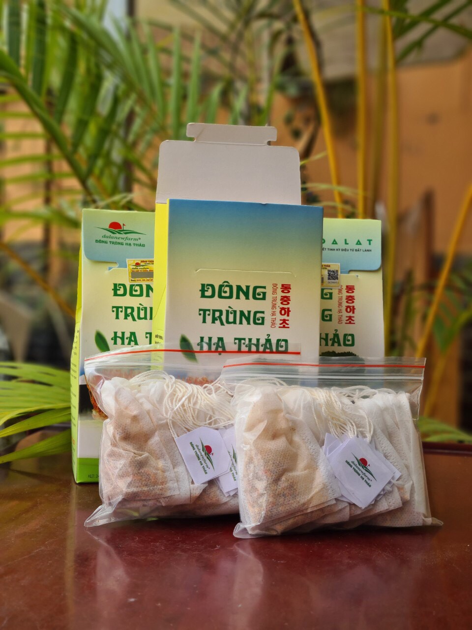 Trà Đông Trùng Hạ Thảo - Món quà từ Đất Lành