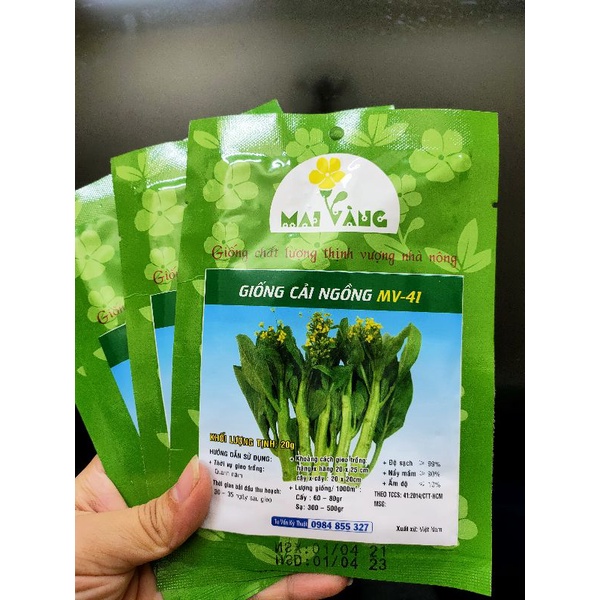 [Gói 20g] Hạt giống rau cải ngồng