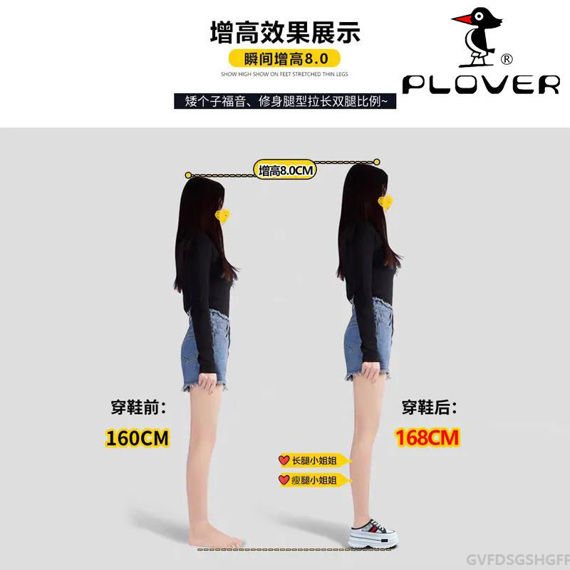 See Description