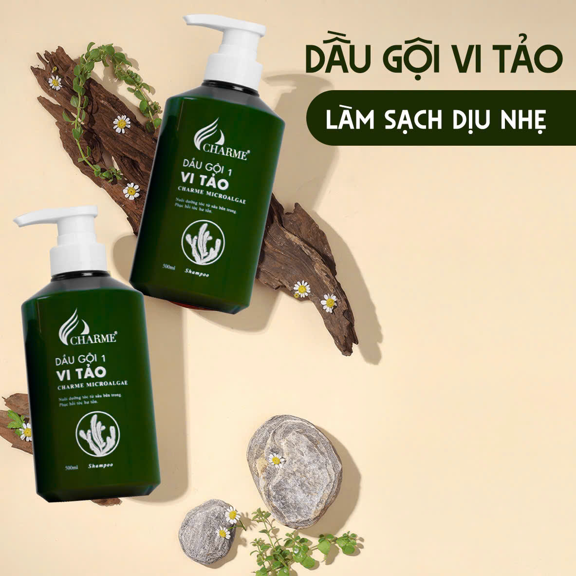 Combo gội xả vi tảo ( tặng xịt tóc )