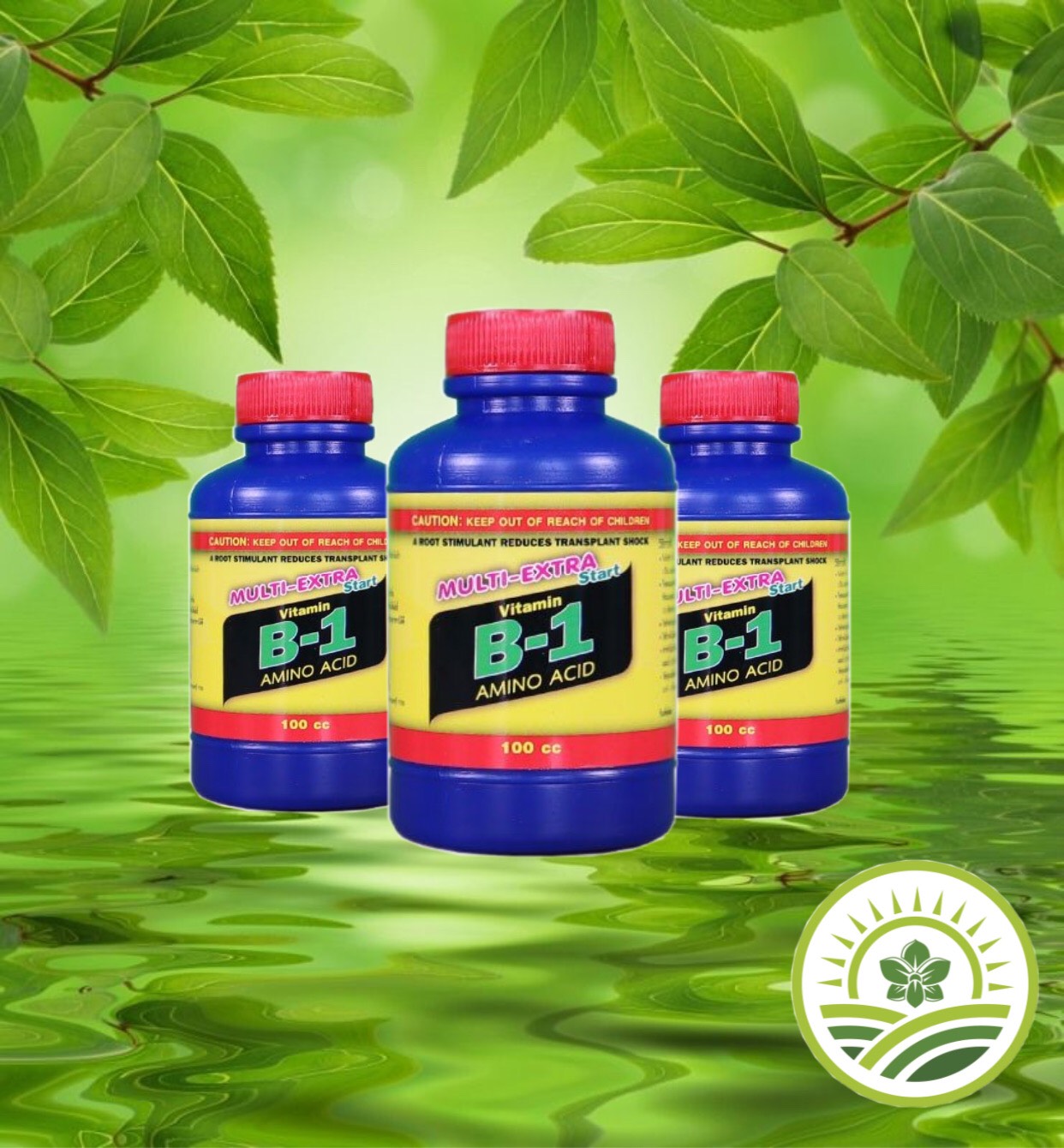 Combo kích ki cho Phong lan 7 sản phẩm