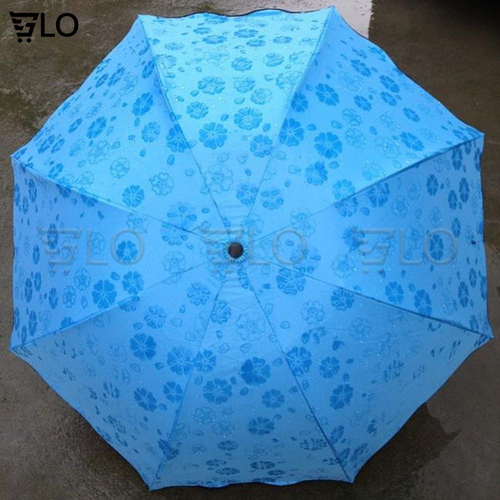 Dù Đi Mưa Nở Hoa Khi Gặp Nước