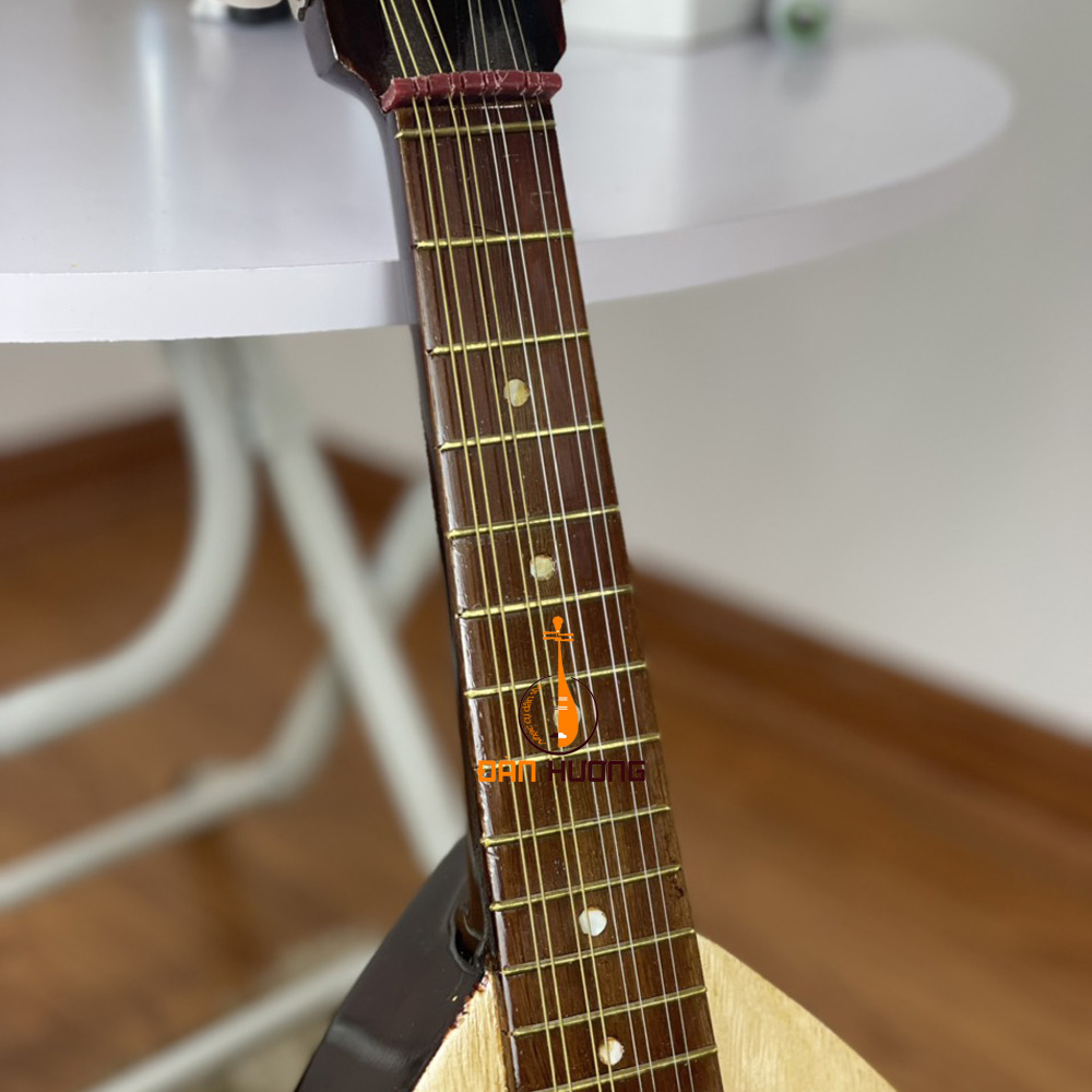 Đàn Mandolin