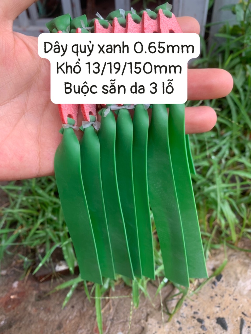 DÂY QUỶ XANH BUỘC SẴN