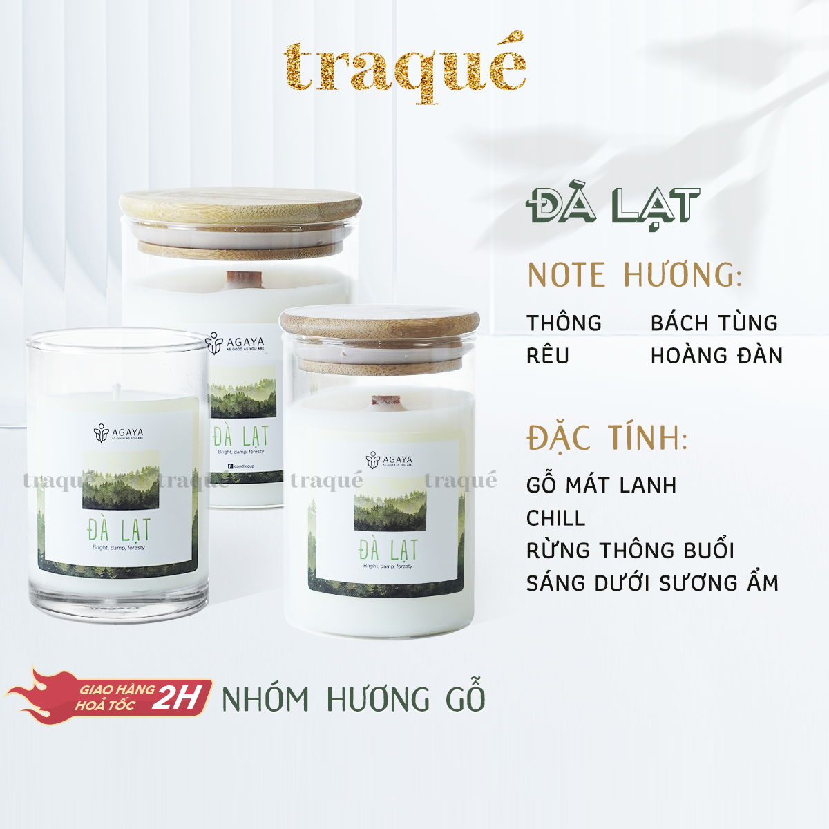 Nến thơm Agaya/Candle Cup - Hương Gỗ ĐÀ LẠT
