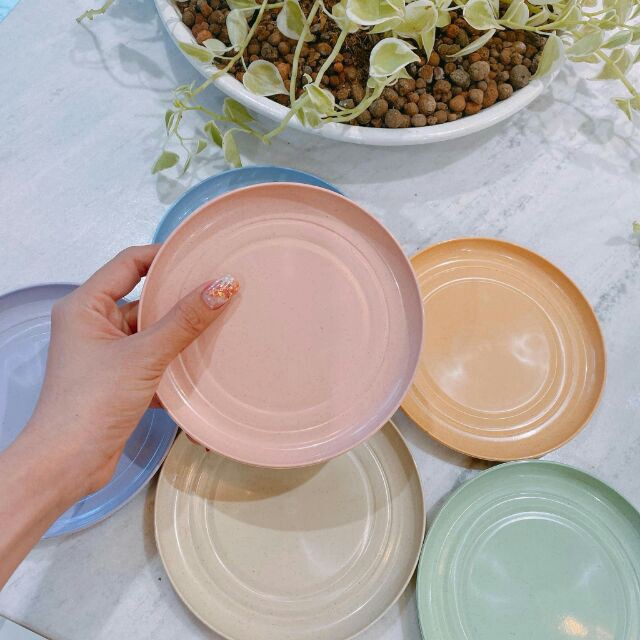 SET 6 ĐĨA LÚA MẠCH Đĩa Lúa Mạnh SIÊU XINH Chất Liệu Lúa Mạch An Toàn Cho Sức Khoẻ
