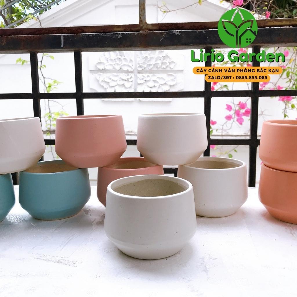 Chậu cây hình hạt dẻ nhỏ