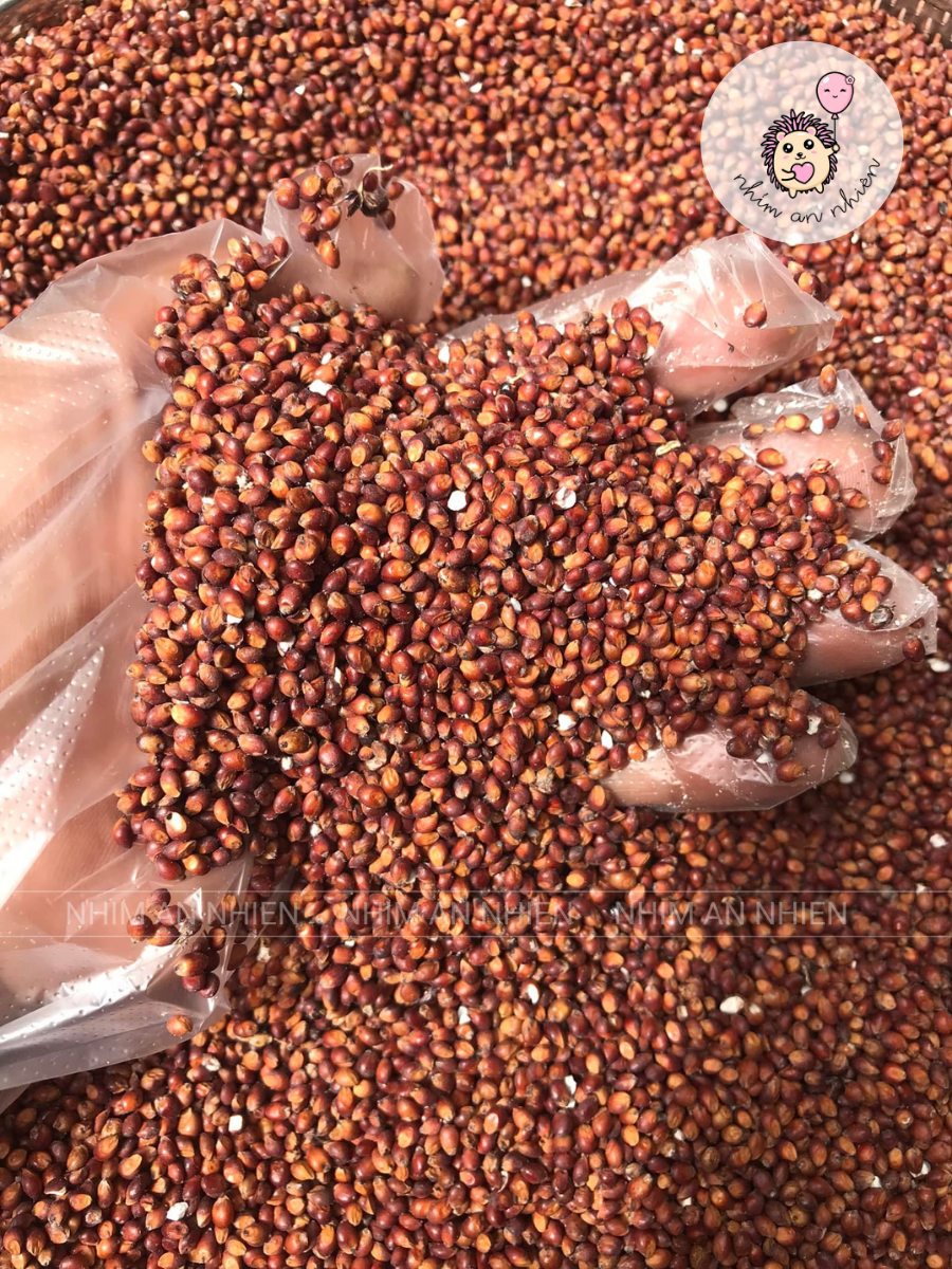 Trà An Sinh Organic - Hộp 500gram