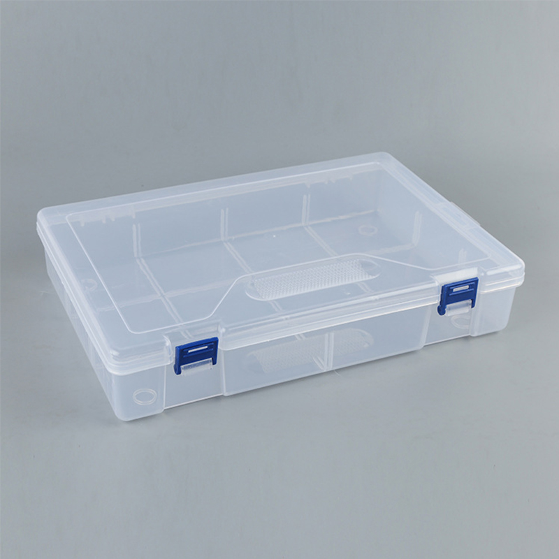 【SkinHorizon】Transparent Tool box Plastic Container Box For Food Box ...