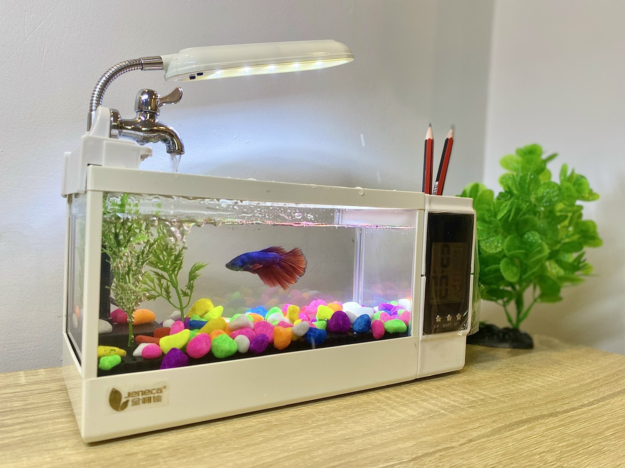 Bể nuôi cá để bàn Jeneca TG-03M