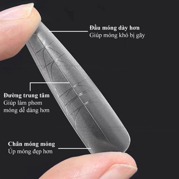 Móng úp đa năng có vạch kẻ THANG NHÁM TRONG DÀI 320 móng (Hộp)