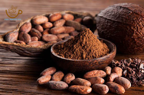 (Freeship) Gói 25 gram Bột Ca Cao Nguyên Chất (Astro CoCoa Powder)
