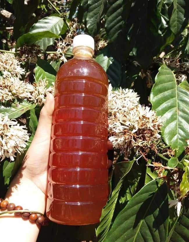 MẬT ONG RỪNG ĐẮK LAK nguyên chất 1 LÍT