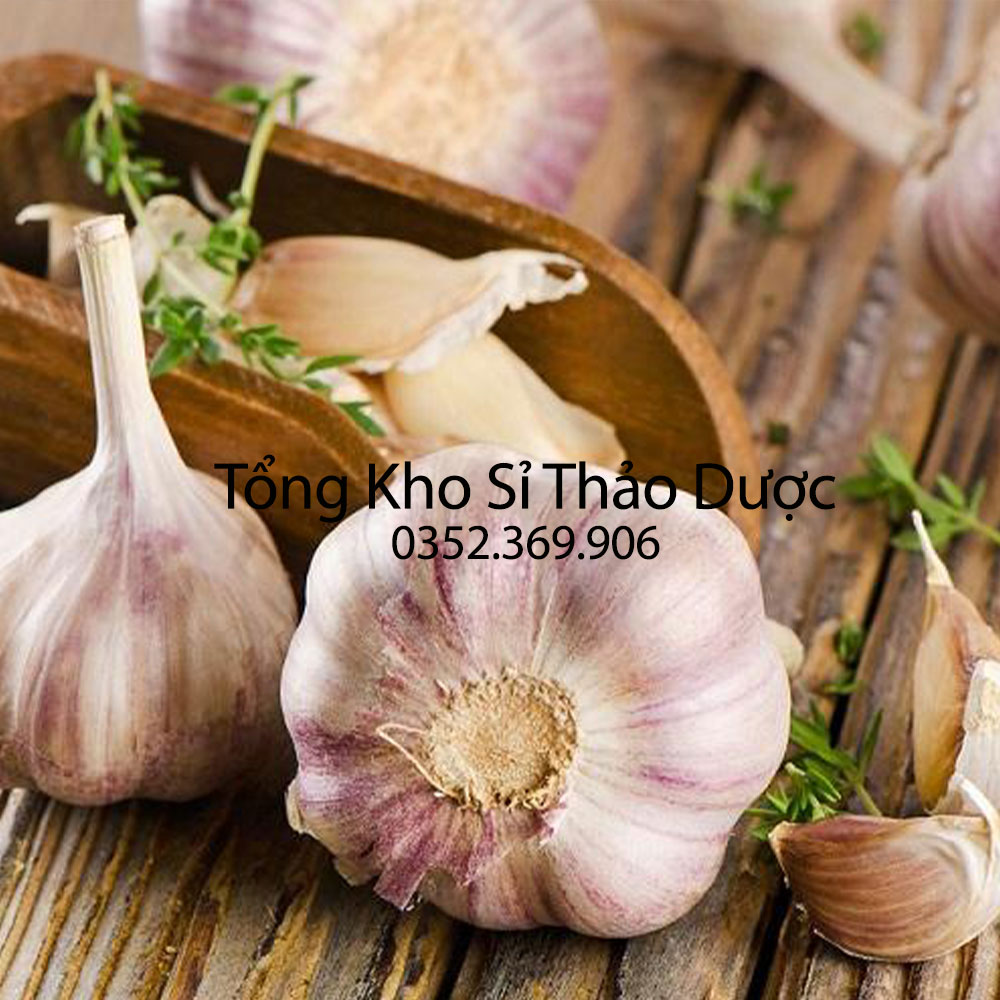 Bột tỏi nguyên chất 100g (Bột garlic, gia vị ướp thịt, gia vị nấu ăn)