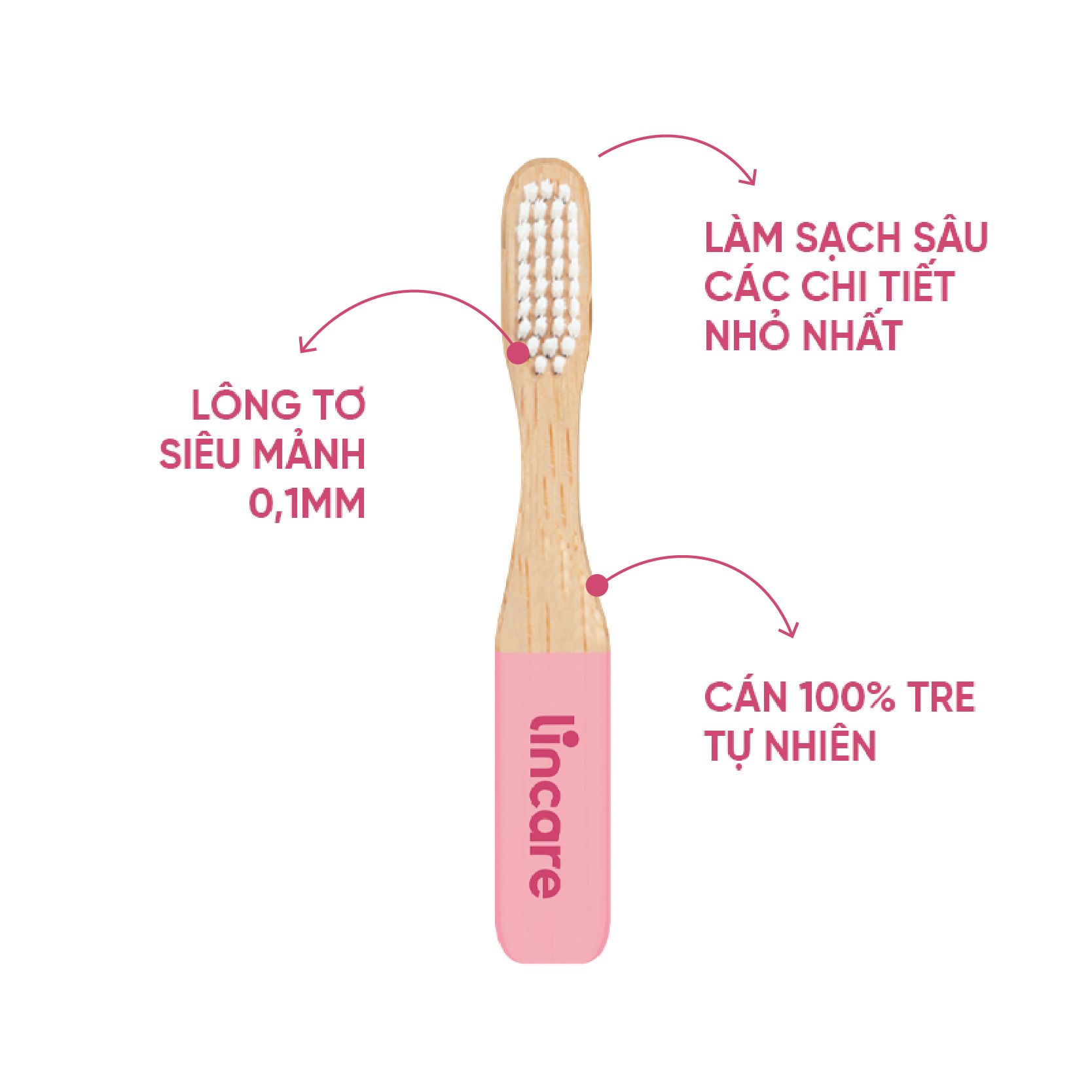 Cốc nguyệt san Lincup & Túi lụa, bàn chải