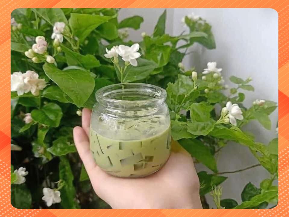 Combo 12 hũ sữa chua béo dung tích 200ml