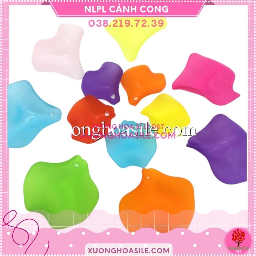 [HCM]CÁNH CONG PHA LÊ (NGUYÊN LIỆU HOA PHA LÊ)