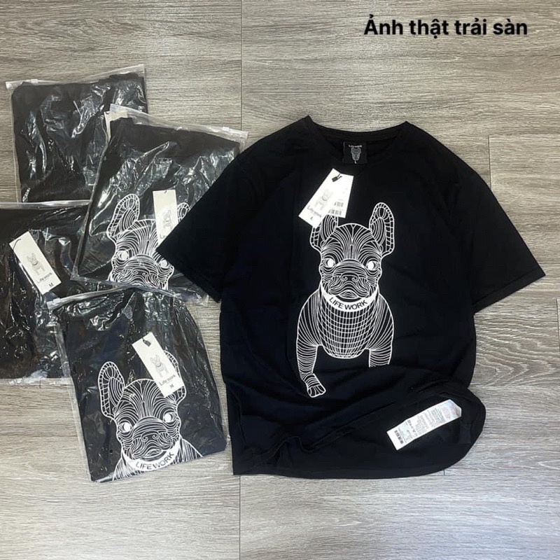 Áo thun nam nữ hình chó bug chât cotton 4 chiều xịn ,áo phông unisex Maifashion388