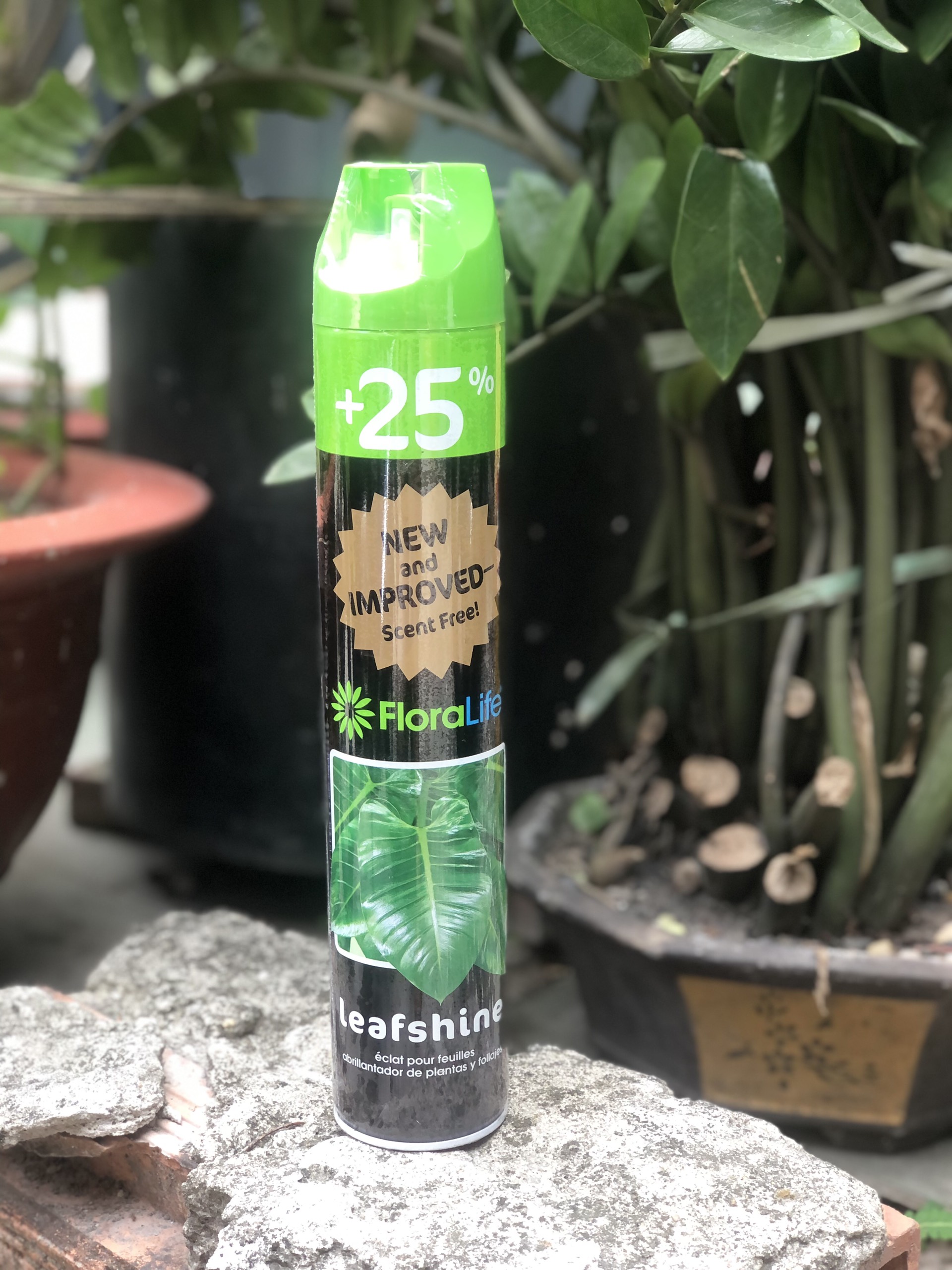 [HCM]Leaf shine- xịt bóng lá 750 ml