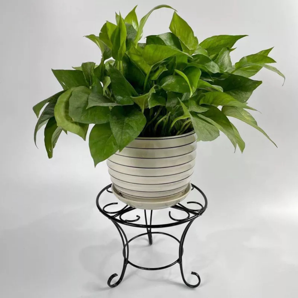 ĐÔN SẮT.KHUNG SẮT, CHÂN ĐỂ CHẬU HOA VĂN ĐỦ SIZE