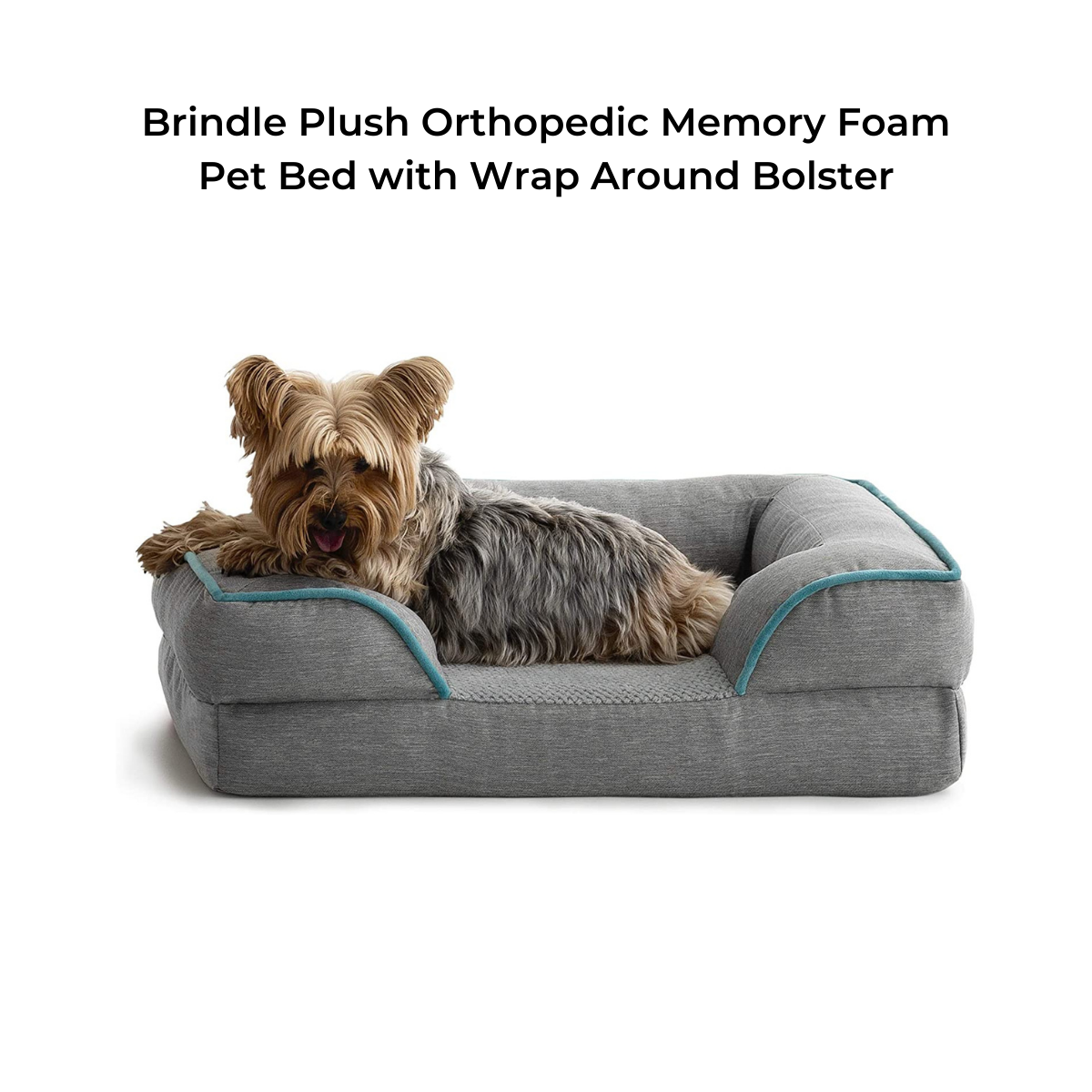 senilife dog supplement