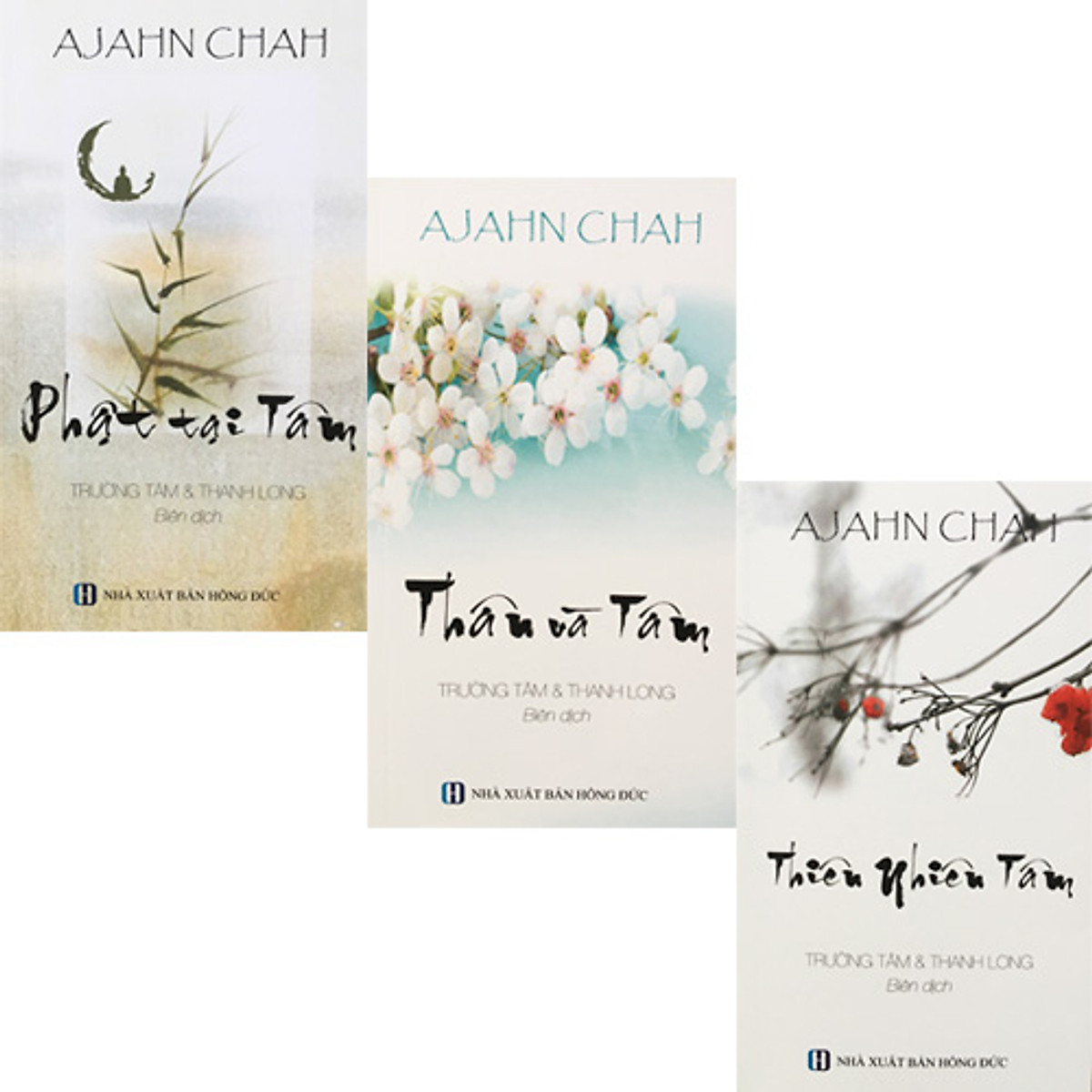 Bộ 3 cuốn sách thiền sư ajahn chah: phật tại tâm - thân và tâm - thiên nhiên tâm