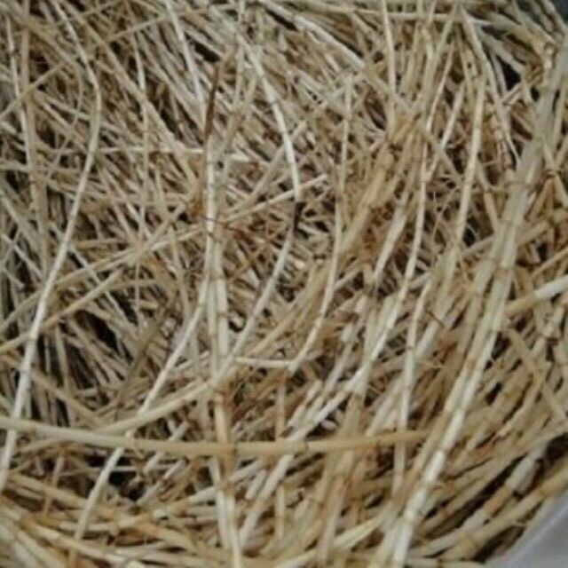 Rễ cỏ tranh khô, rễ tranh nấu sâm (rễ chanh)