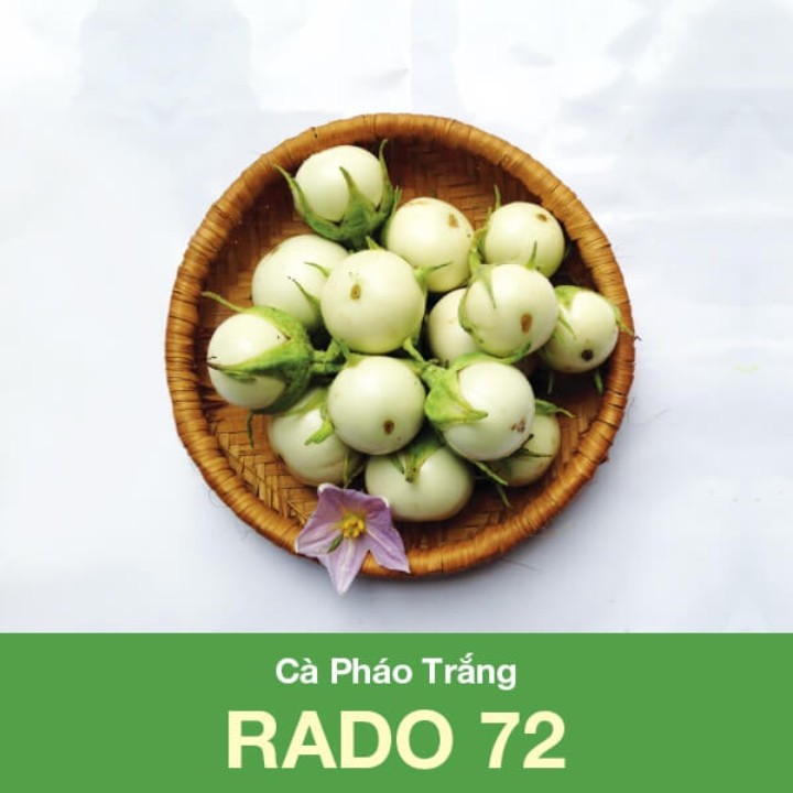 Hạt giống Cà pháo trắng gói 0.5gr