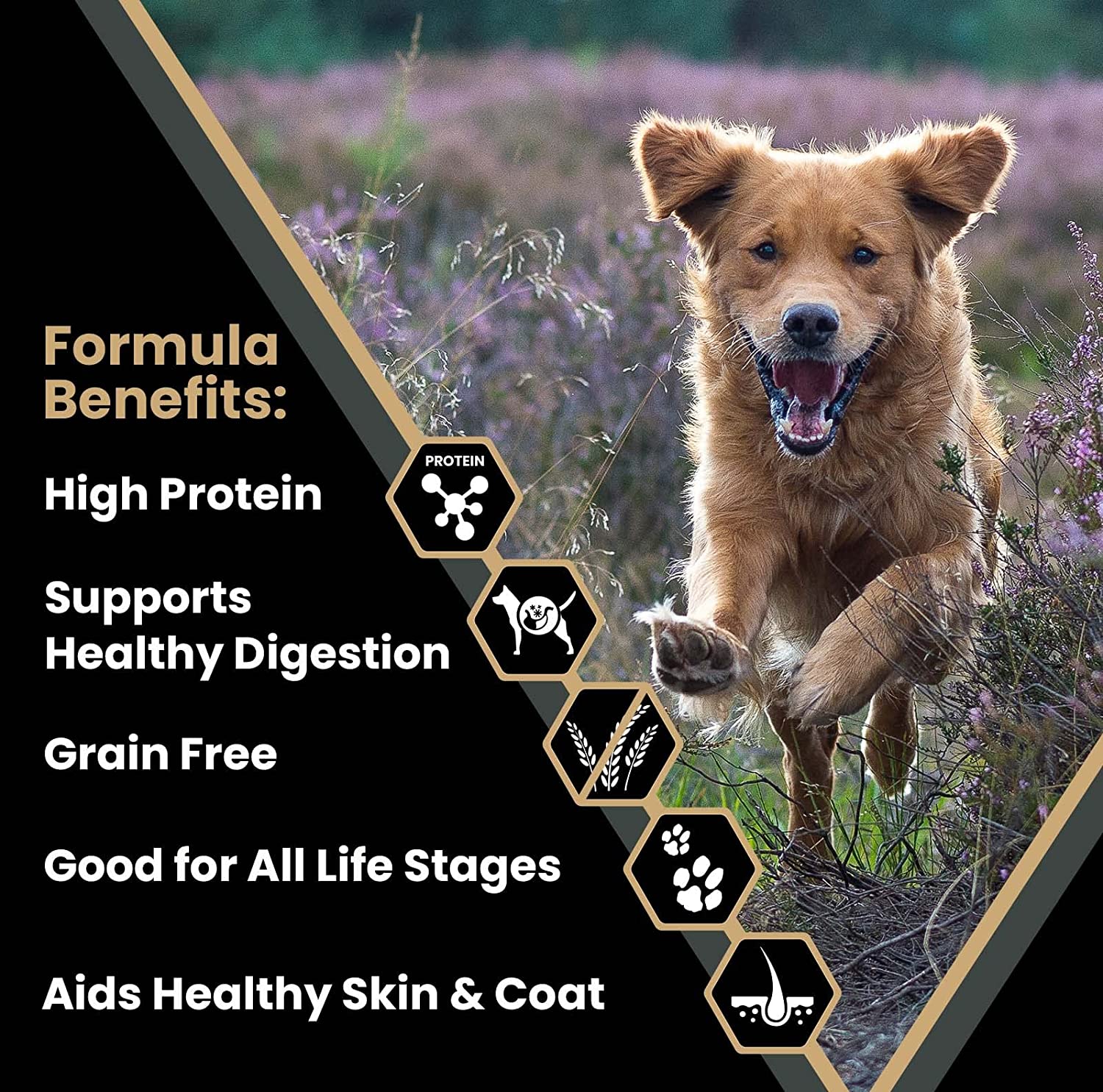 Curated visual reference: Picture Idea: Victor Super Premium Dog Food Grain Free Ultra Pro Dry
