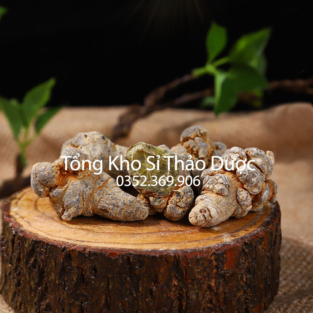 Củ tam thất bắc 100g (Hàng loại 1, 5 củ/lạng, khô, sạch)