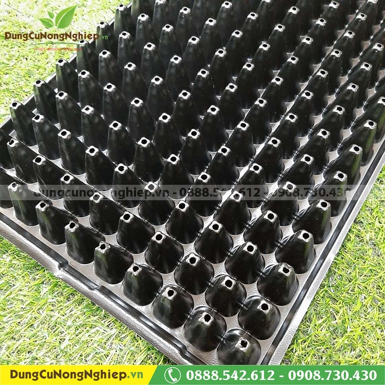 Bộ 5 khay ươm hạt giống 200 lỗ loại 2
