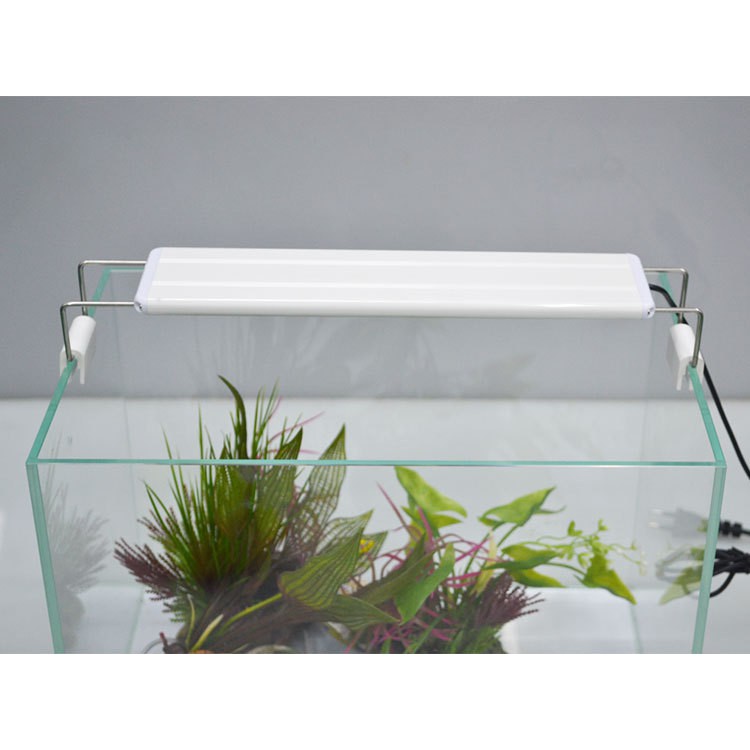 Đèn Led roxin thủy sinh 60cm