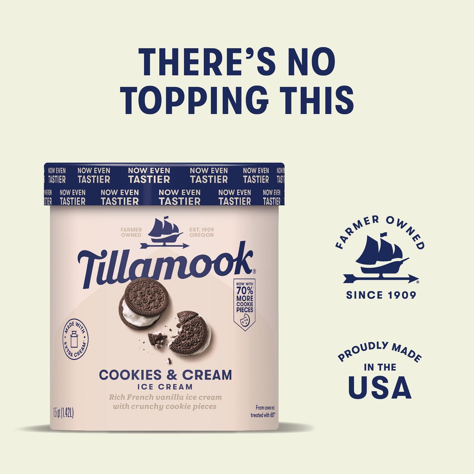 Tillamook Cookies and Cream Ice Cream - Frozen | Lazada Singapore