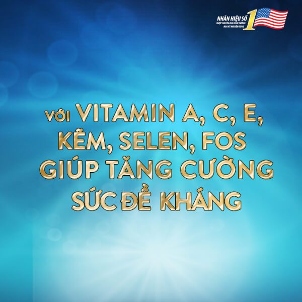 Combo 2 Lốc 6 chai Sữa nước Ensure Abbott 237ml/chai