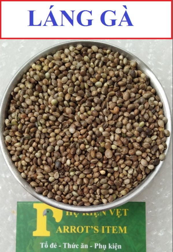 [HCM]500g hạt Láng gà(tròn) cho thú cưngvẹt và chim