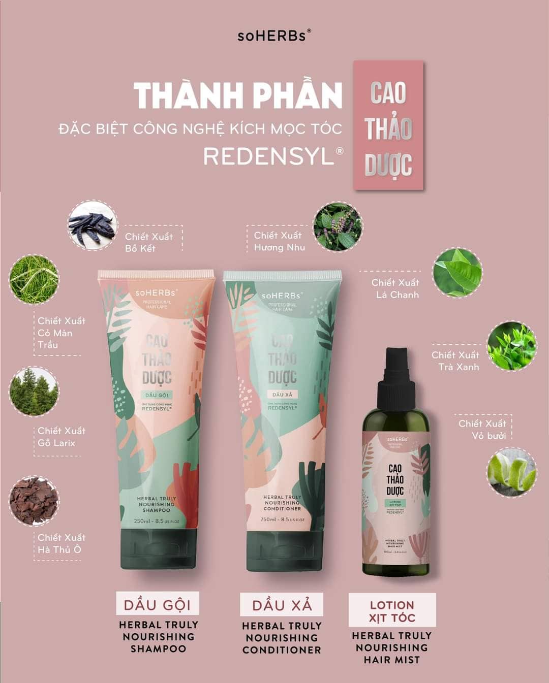 Dầu gội và dầu xả Cao Thảo Dược Soherbs