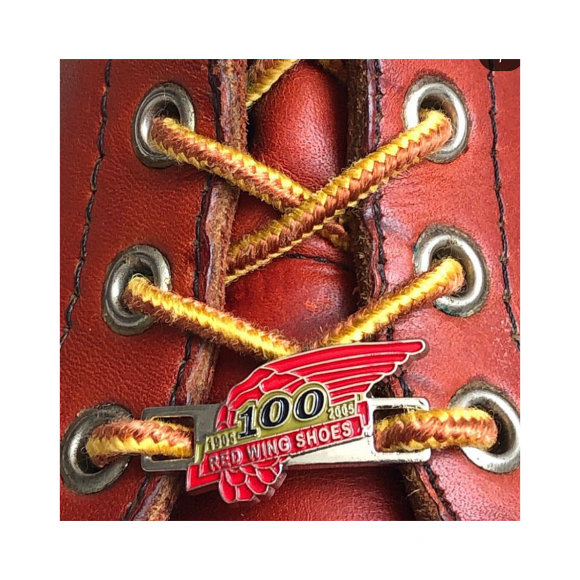 Red Wing Shoes Lace Keepers 100 Year Anniversary (1 pair) Unisex