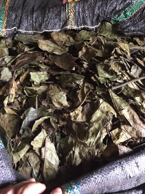 xạ đen khô 1kg