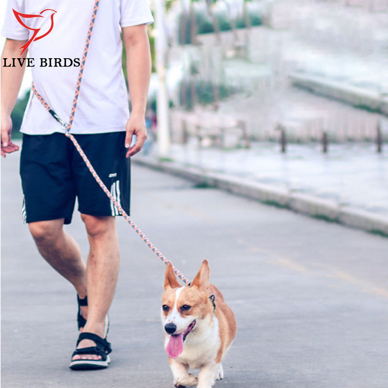 Multifunctional Nylon Double Leash For Dogs Reflective Strip Design Dog Training Leash For Medium Large Dogs