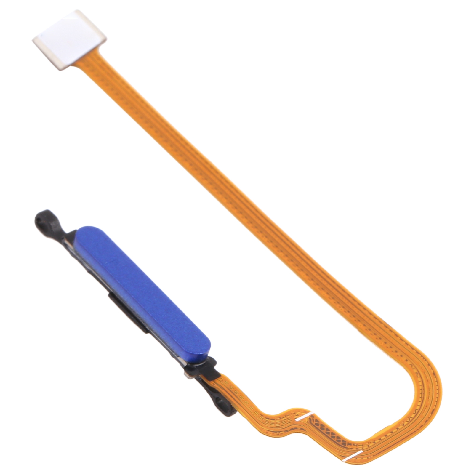 Fingerprint Button Flex Cable for Xiaomi Poco M3 M2010J19CG M2010J19CI (Blue)(In stock)