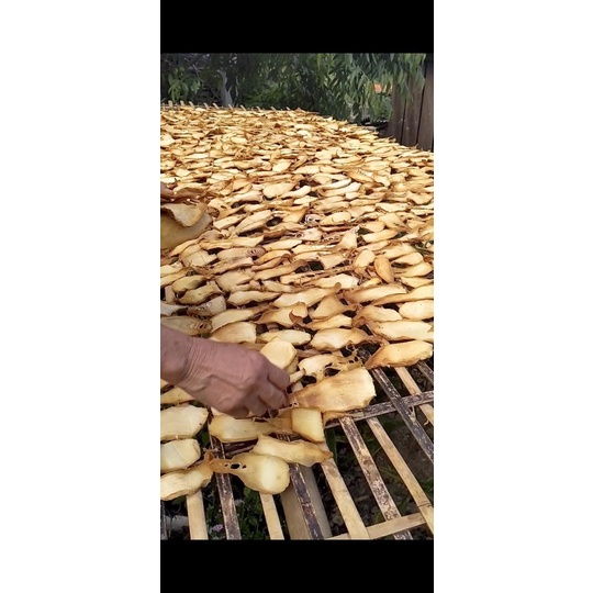 Măng lưỡi lợn phơi nắng tự nhiên ( măng củ ) 1kg