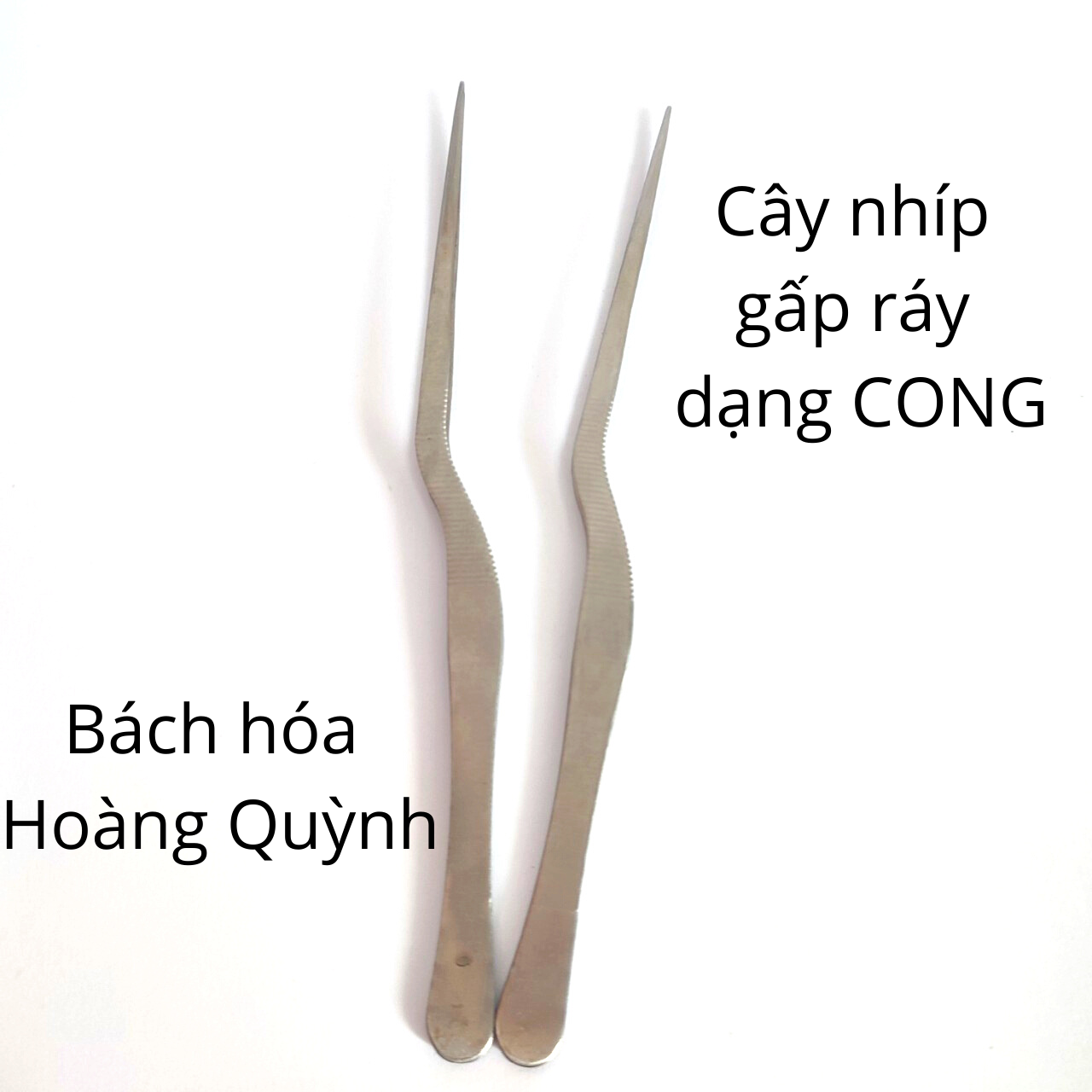 Cây nhíp gấp ráy tai Thanh Sơn.