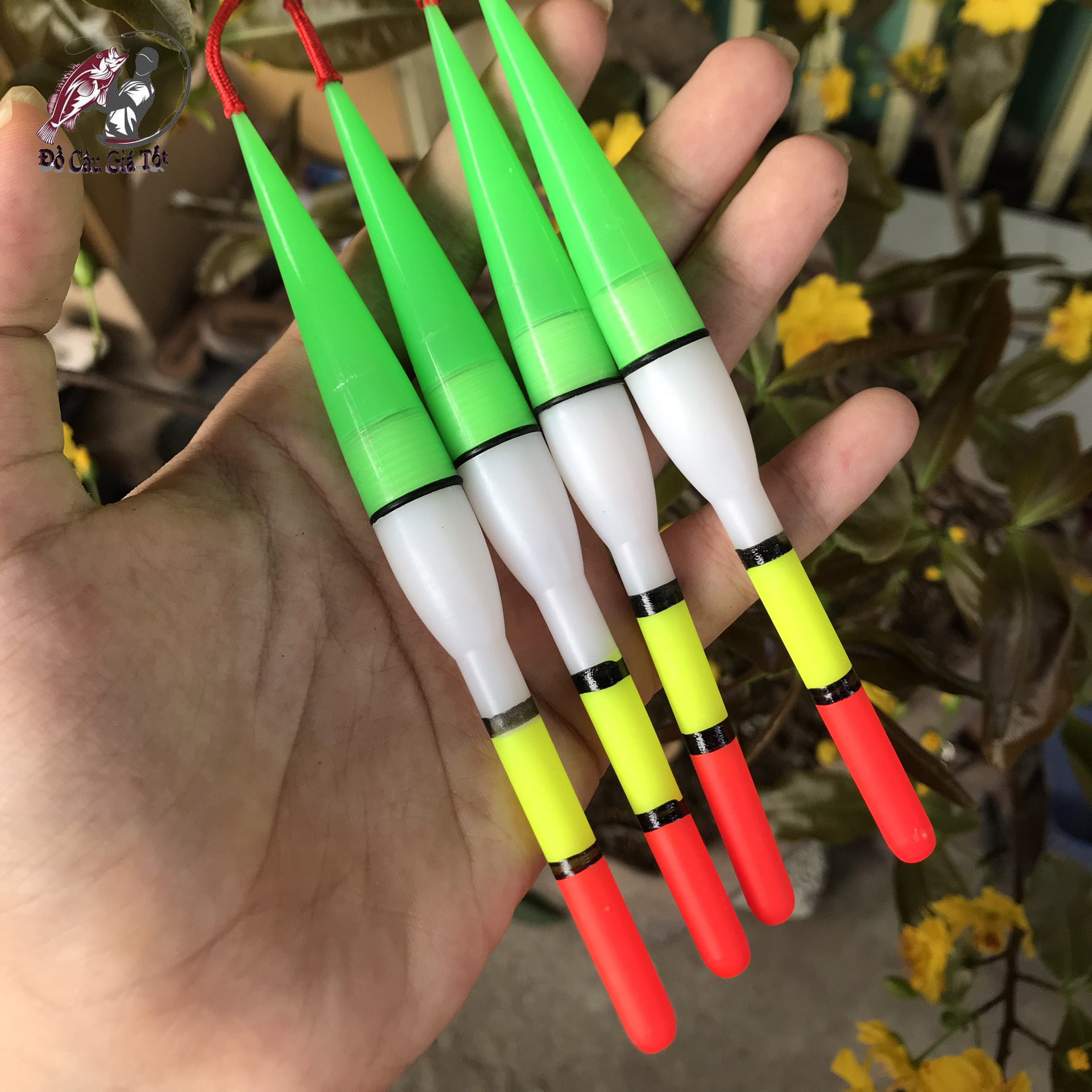 Phao Câu Đêm, Phao Đèn Phát Sáng